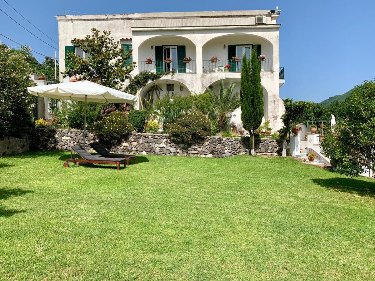 Villa Vincenzo Di Meglio Barano d'Ischia Exterior photo