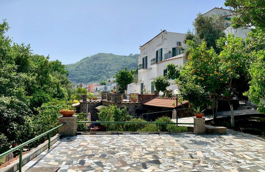 Villa Vincenzo Di Meglio Barano d'Ischia Exterior photo