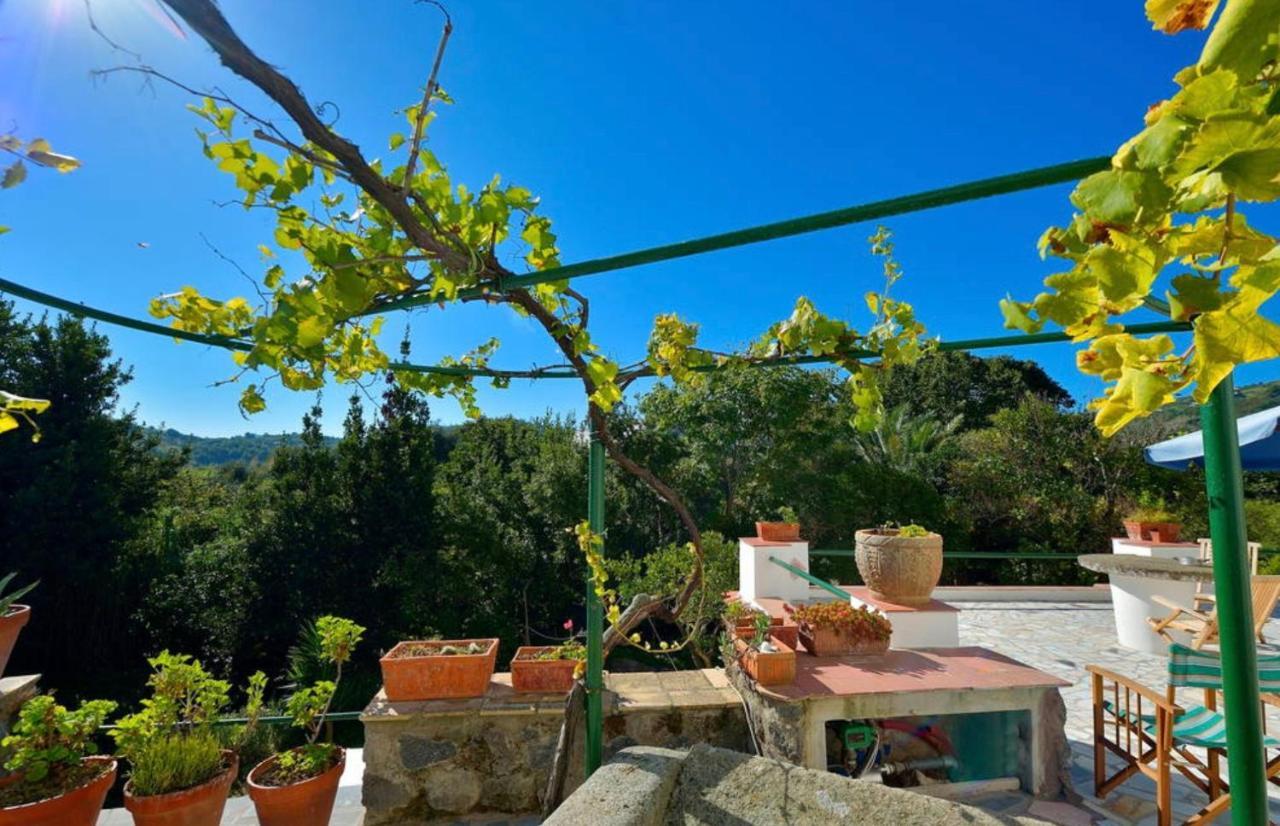 Villa Vincenzo Di Meglio Barano d'Ischia Exterior photo