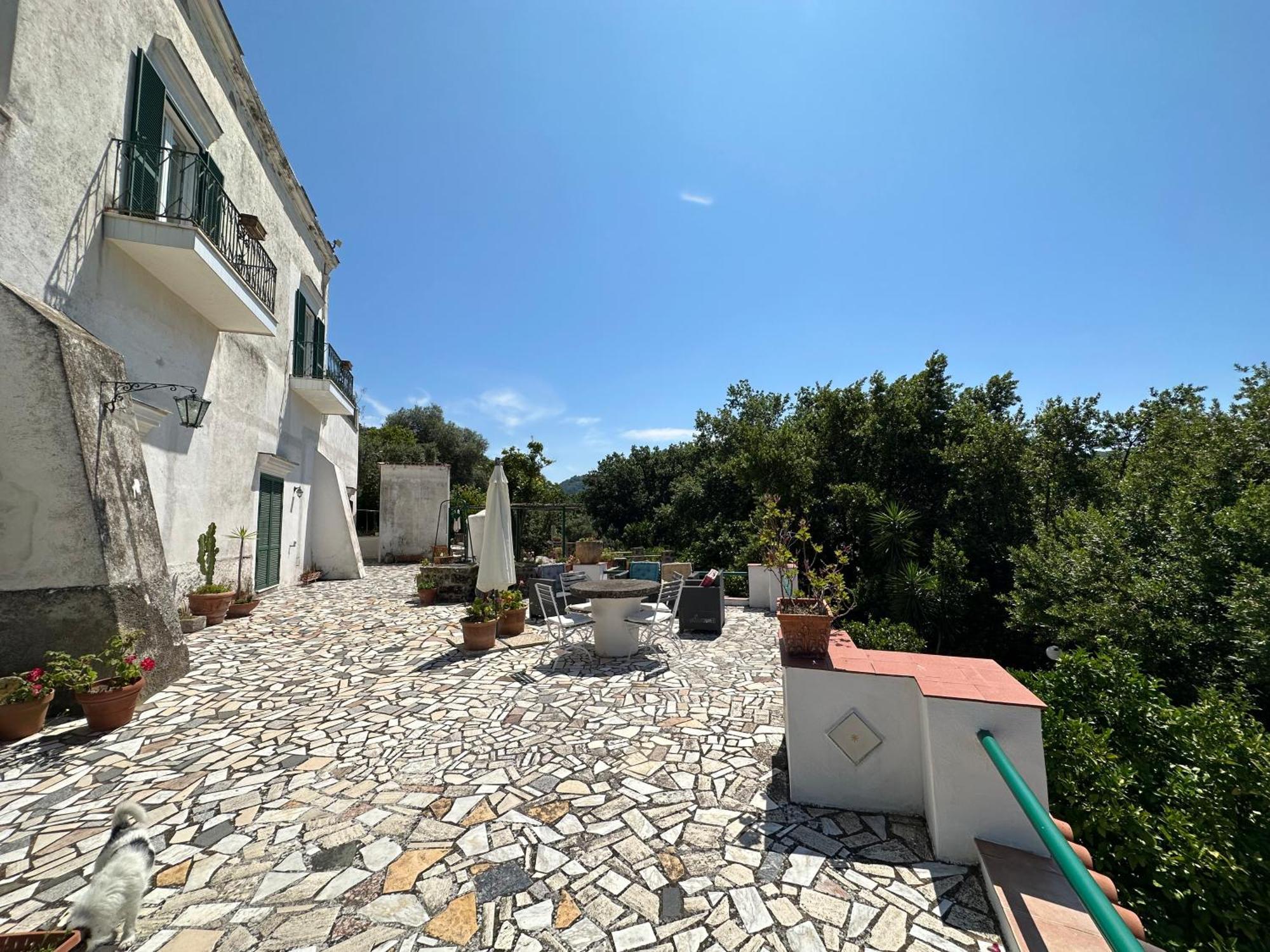 Villa Vincenzo Di Meglio Barano d'Ischia Exterior photo