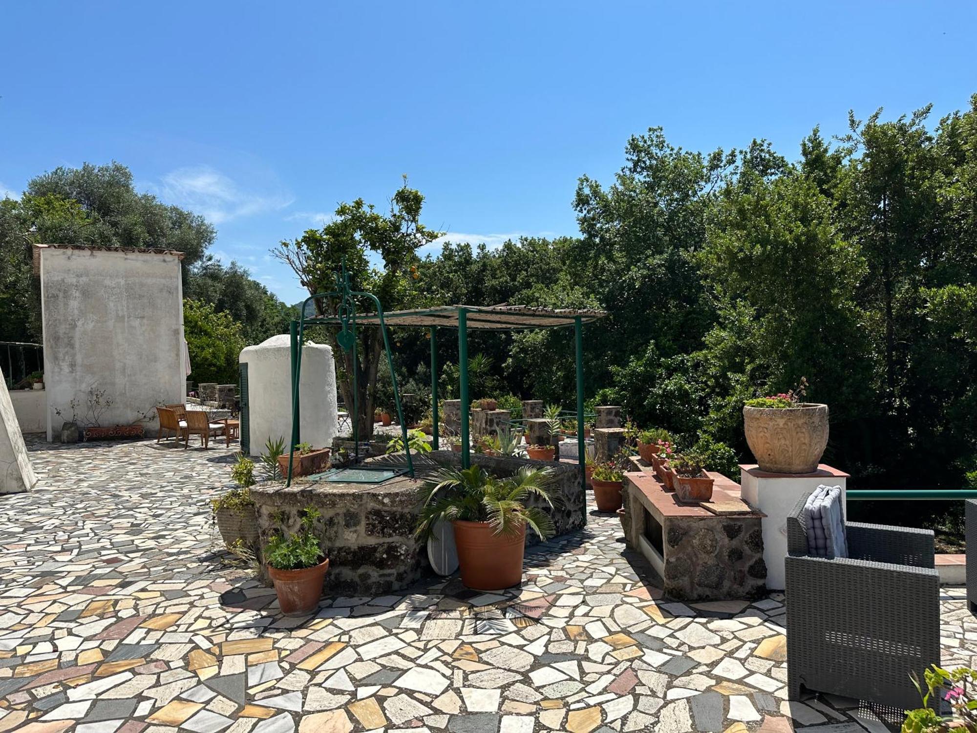 Villa Vincenzo Di Meglio Barano d'Ischia Exterior photo