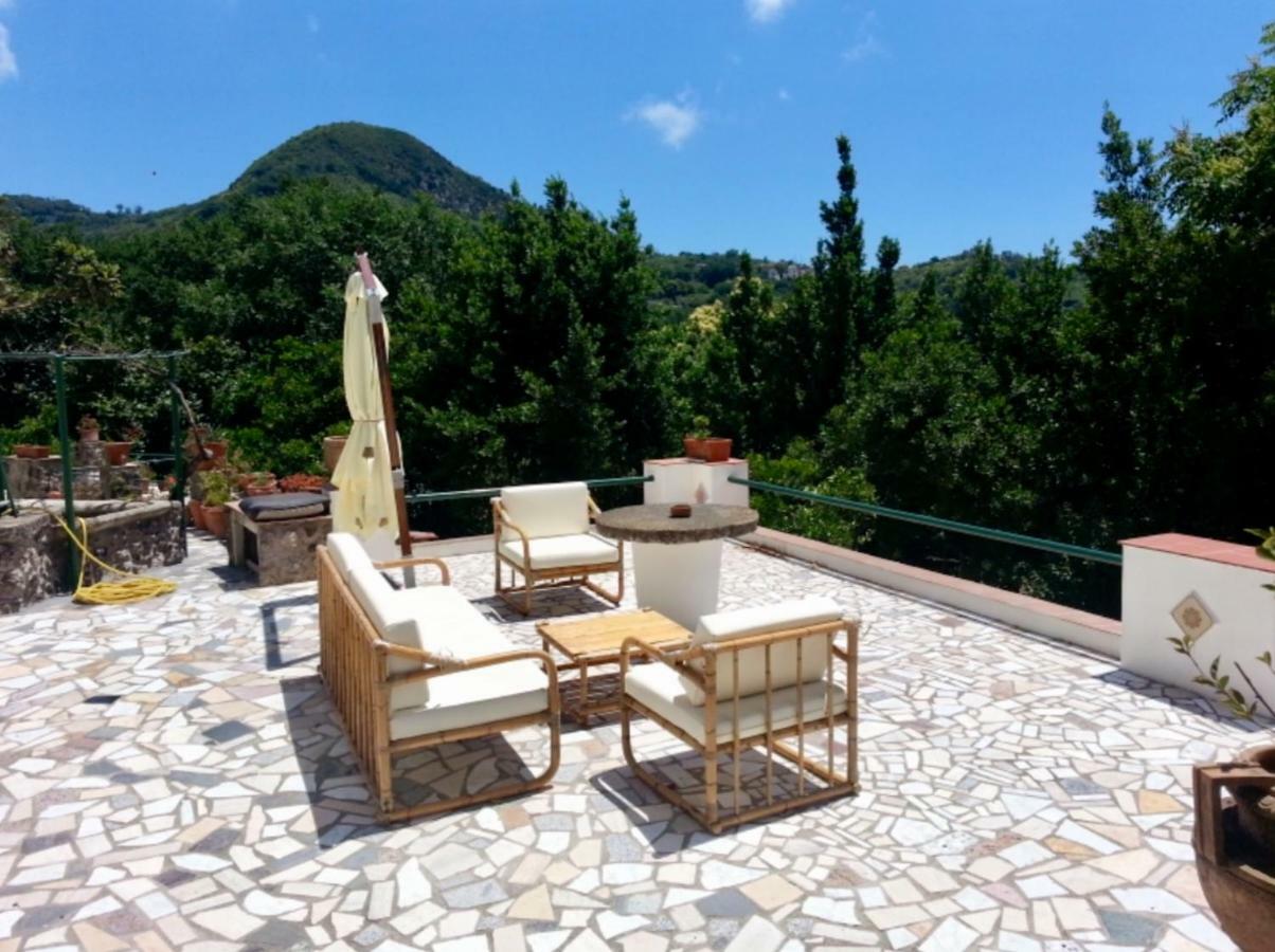 Villa Vincenzo Di Meglio Barano d'Ischia Exterior photo