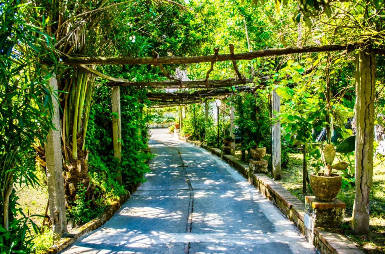 Villa Vincenzo Di Meglio Barano d'Ischia Exterior photo